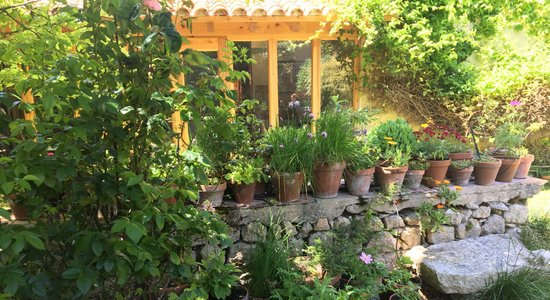 imagen del interior local